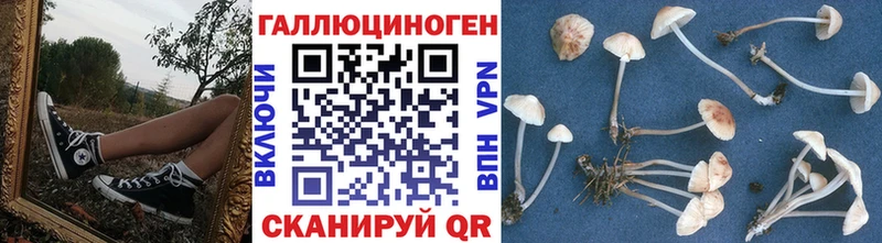 ссылка на мегу ONION  Зверево  Галлюциногенные грибы мицелий 