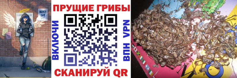 Галлюциногенные грибы GOLDEN TEACHER Зверево